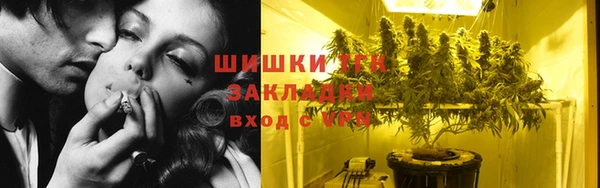 гашик Арсеньев