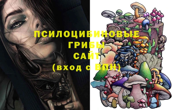 не бодяженный Алзамай