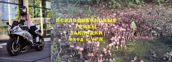 не бодяженный Алзамай