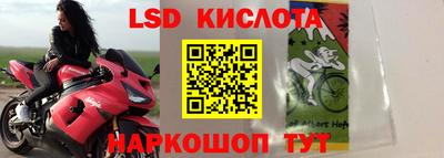 сатива Ставрополь