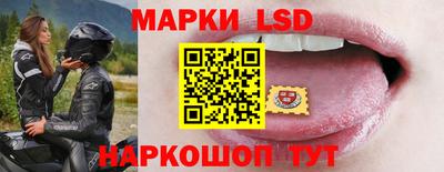 сатива Ставрополь