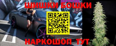 сатива Ставрополь