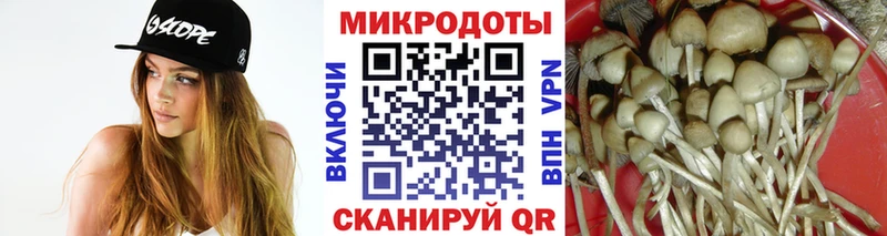 Галлюциногенные грибы Magic Shrooms  это Telegram  Пенза 