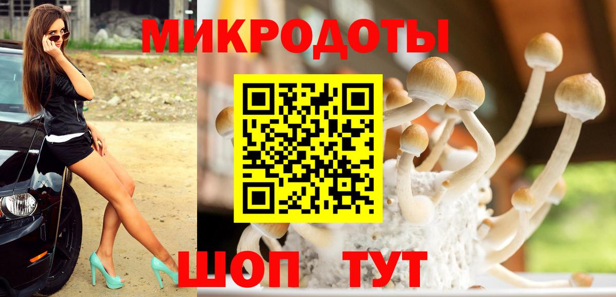 Псилоцибиновые грибы ЛСД  Вход с VPN  Псилоцибиновые грибы Psilocybine cubensis  Пенза 